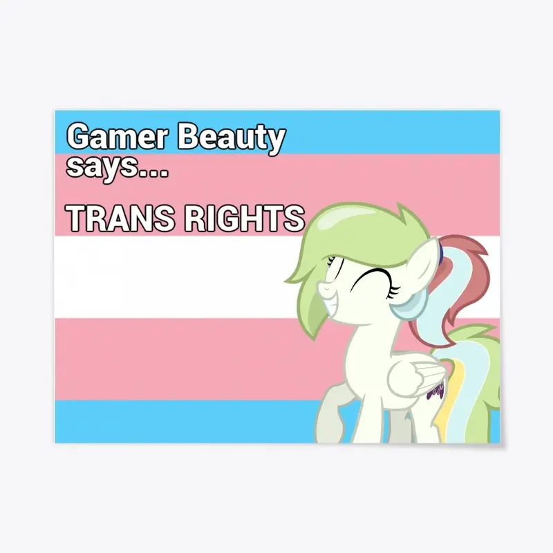 Trans Rights Poster